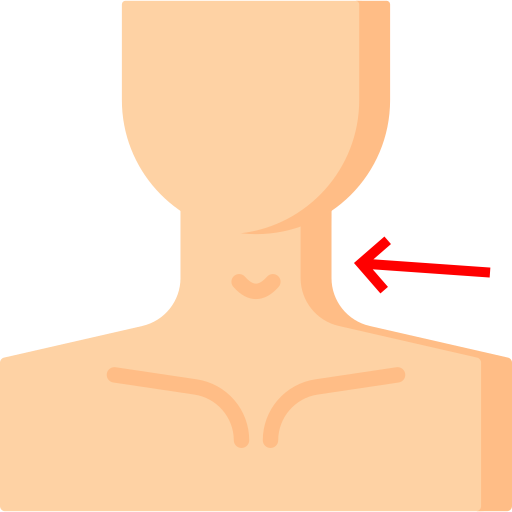 neck