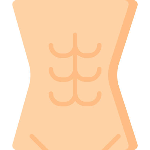 stomach